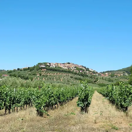 Podere Il Pezzo By Interhome Tatil Evi *